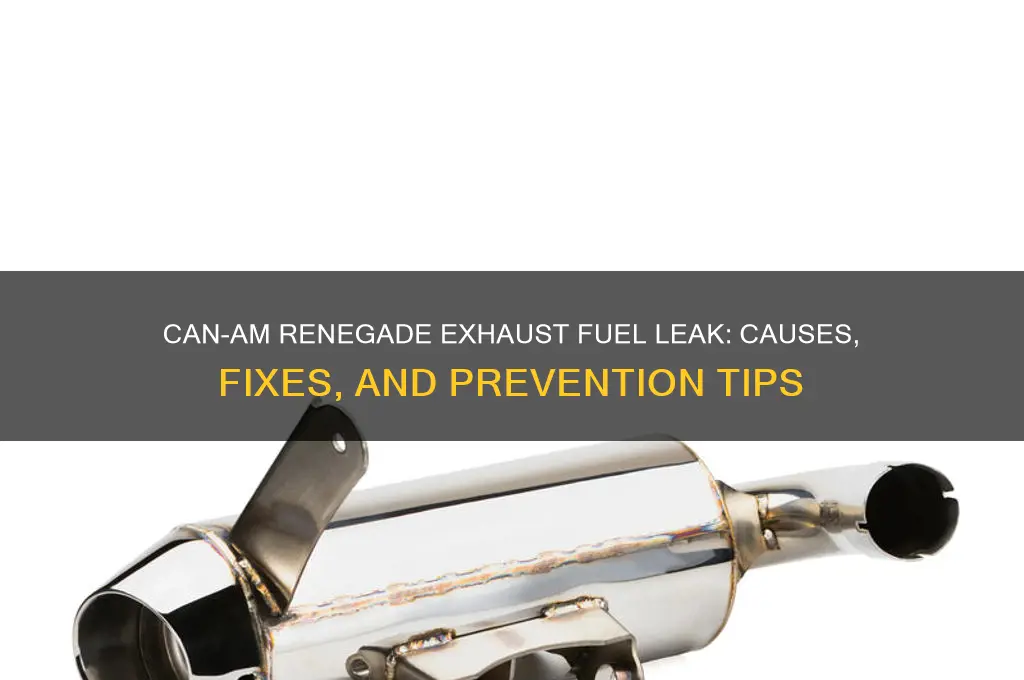 can am renegade fuel coming out exaust