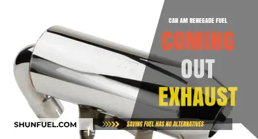 Can-Am Renegade Exhaust Fuel Leak: Causes, Fixes, and Prevention Tips