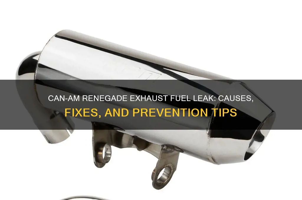 can am renegade fuel coming out exhaust