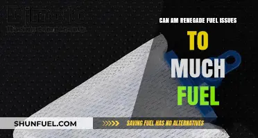 Renegade Fuel Issues: Excess Fuel Problems