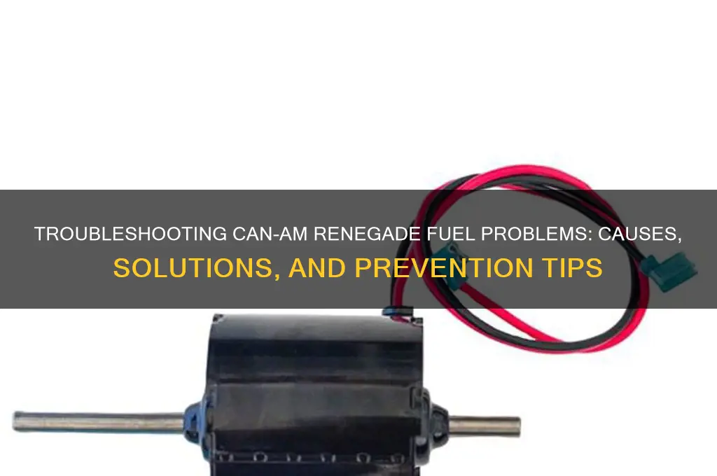 can am renegade fuel issues