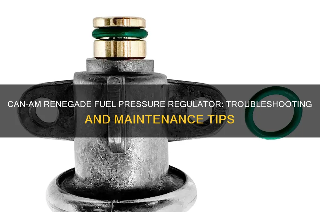 can am renegade fuel preasure reg