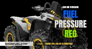 Fuel Pressure Reg: Can-Am Renegade's Performance Enhancer