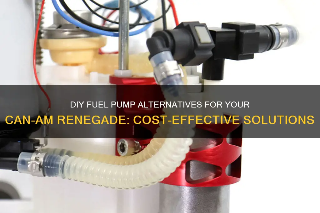 can am renegade fuel pump alternative