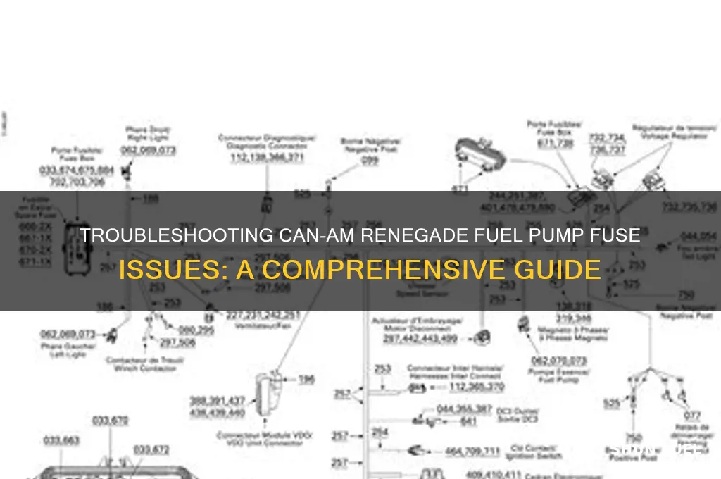 can am renegade fuel pump fuse
