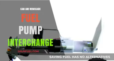 Can-Am Renegade Fuel Pump Interchange: Compatibility and Upgrade Guide