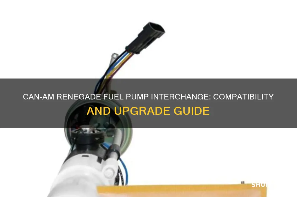 can am renegade fuel pump interchange