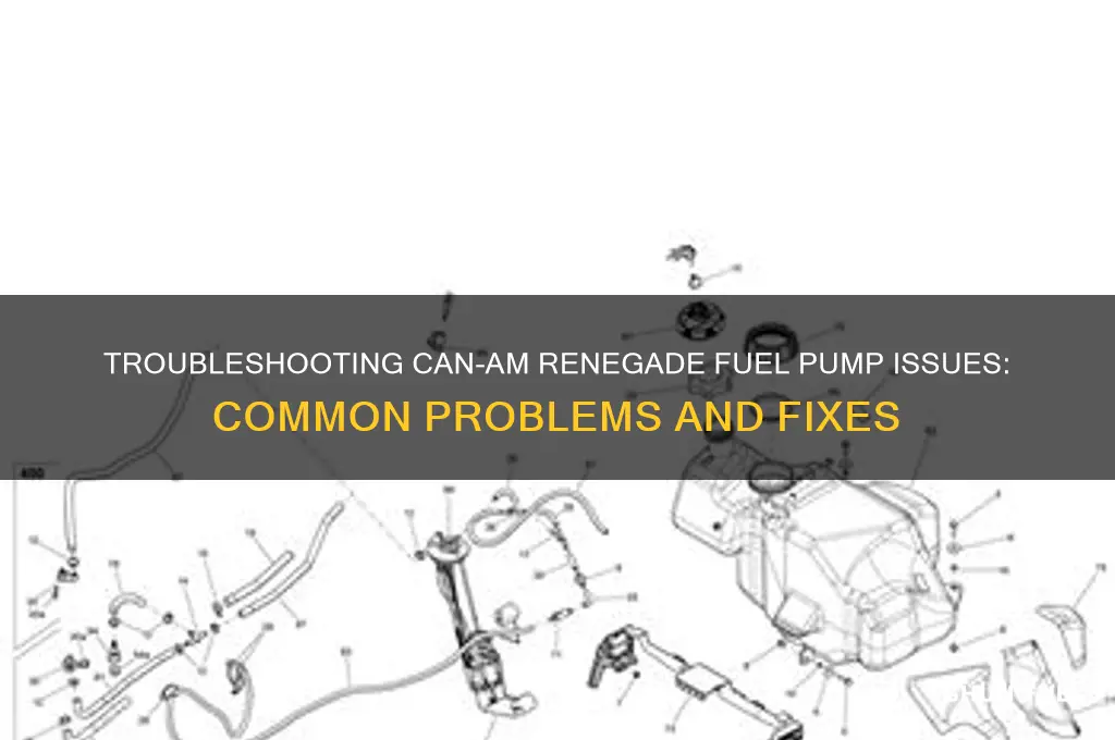 can am renegade fuel pump problems