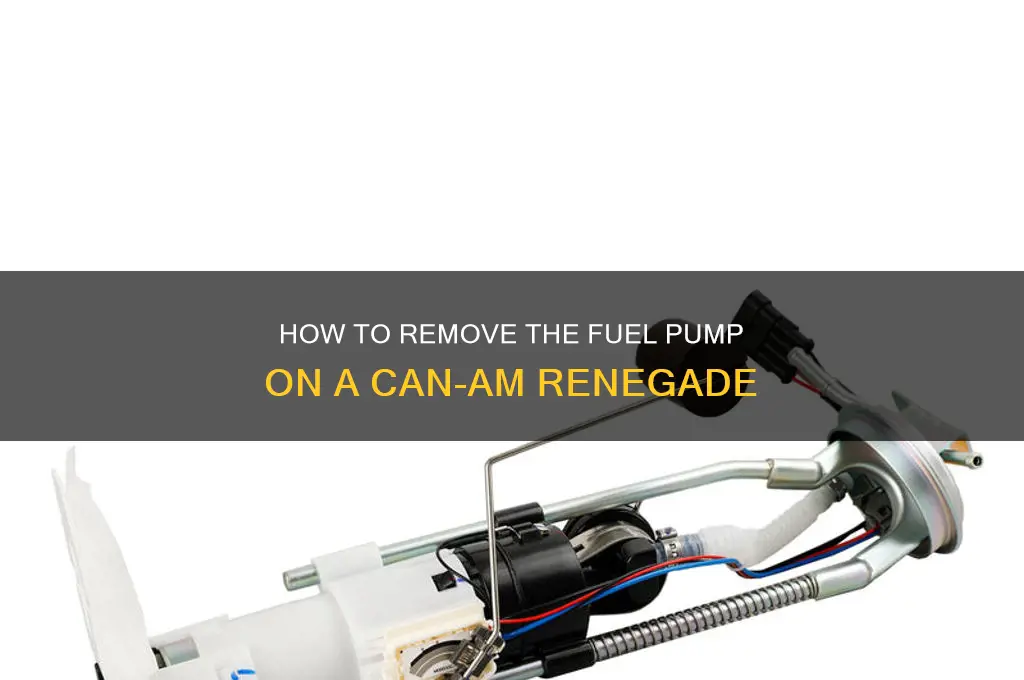 can am renegade fuel pump removal