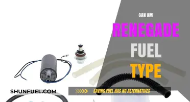 Can-Am Renegade Fuel Type: Unleashing Optimal Performance for Your Ride