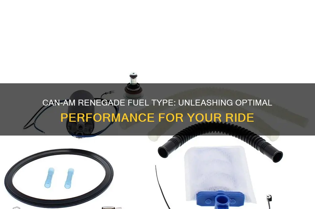 can am renegade fuel type