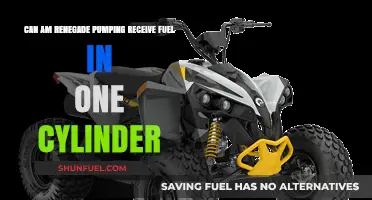 Can-Am Renegade Fuel Issue: One Cylinder Not Receiving Fuel?