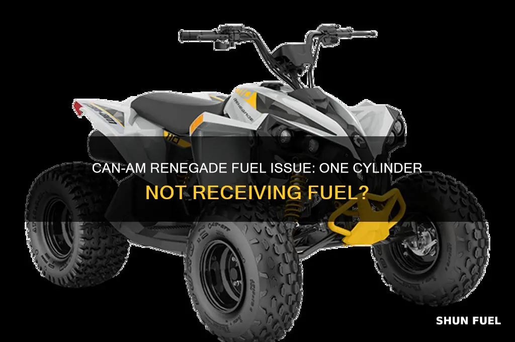 can am renegade pumping receive fuel in one cylinder