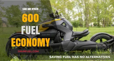 Can-Am Ryker 600 Fuel Economy: Efficiency and Performance Review
