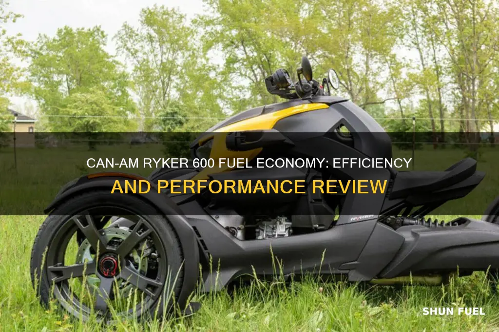 can am ryker 600 fuel economy
