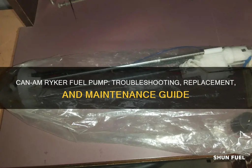 can am ryker fuel pump