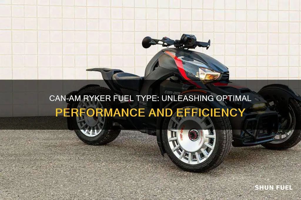 can am ryker fuel type