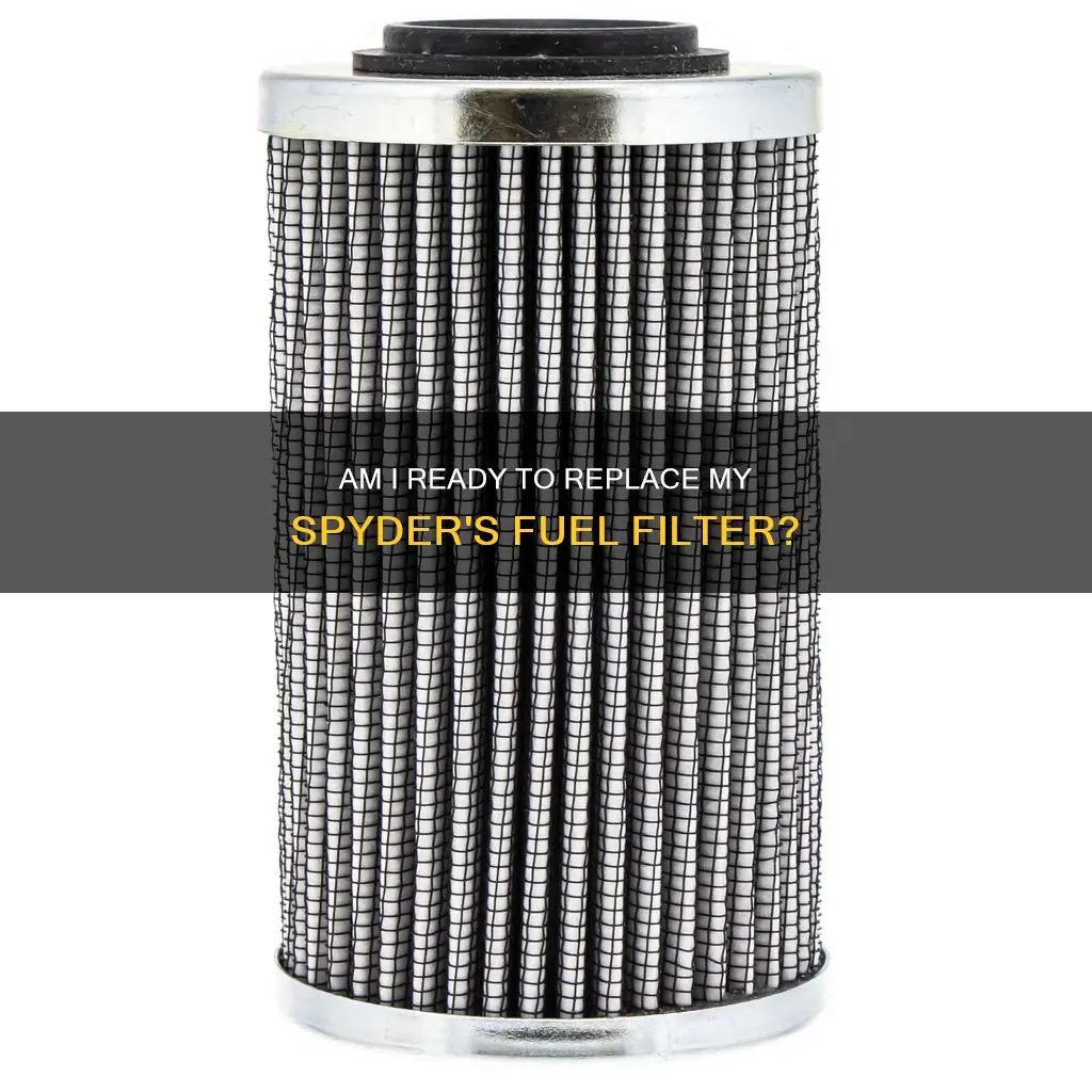 can am spyder fuel filter replacement