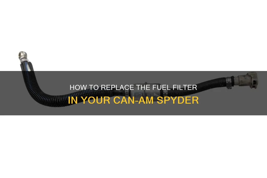 can am spyder fuel filter replacement