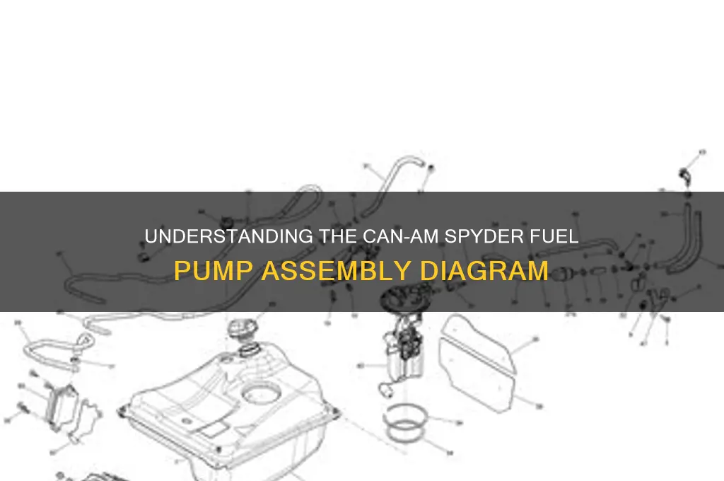 can am spyder fuel pump assembly diagram