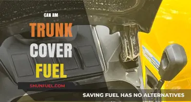 Can-Am Trunk Cover Fuel Access: Convenience or Compromise?