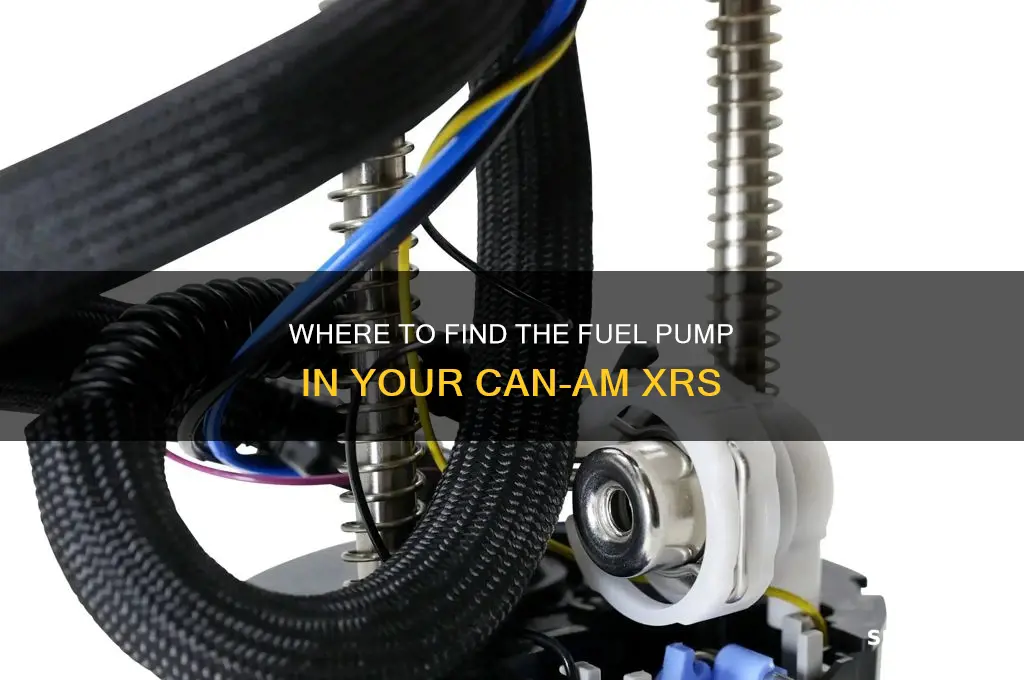 can am xrs fuel pump location