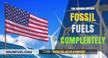 America's Energy Transition: Can Fossil Fuels Be Replaced?