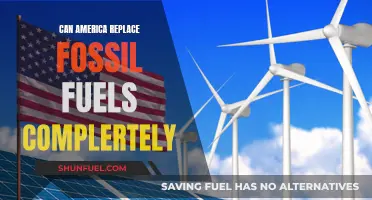 America's Fossil Fuel Future: Complete Replacement Possible?