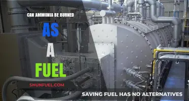 Ammonia as Fuel: Exploring Its Combustion Potential and Applications