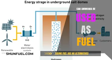 Ammonia as Fuel: A Sustainable Energy Alternative for the Future?