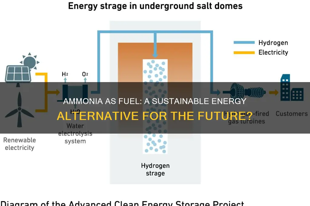 can ammonia be used as fuel