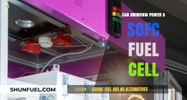 Ammonia as a Fuel Source: Powering SOFCs Sustainably and Efficiently