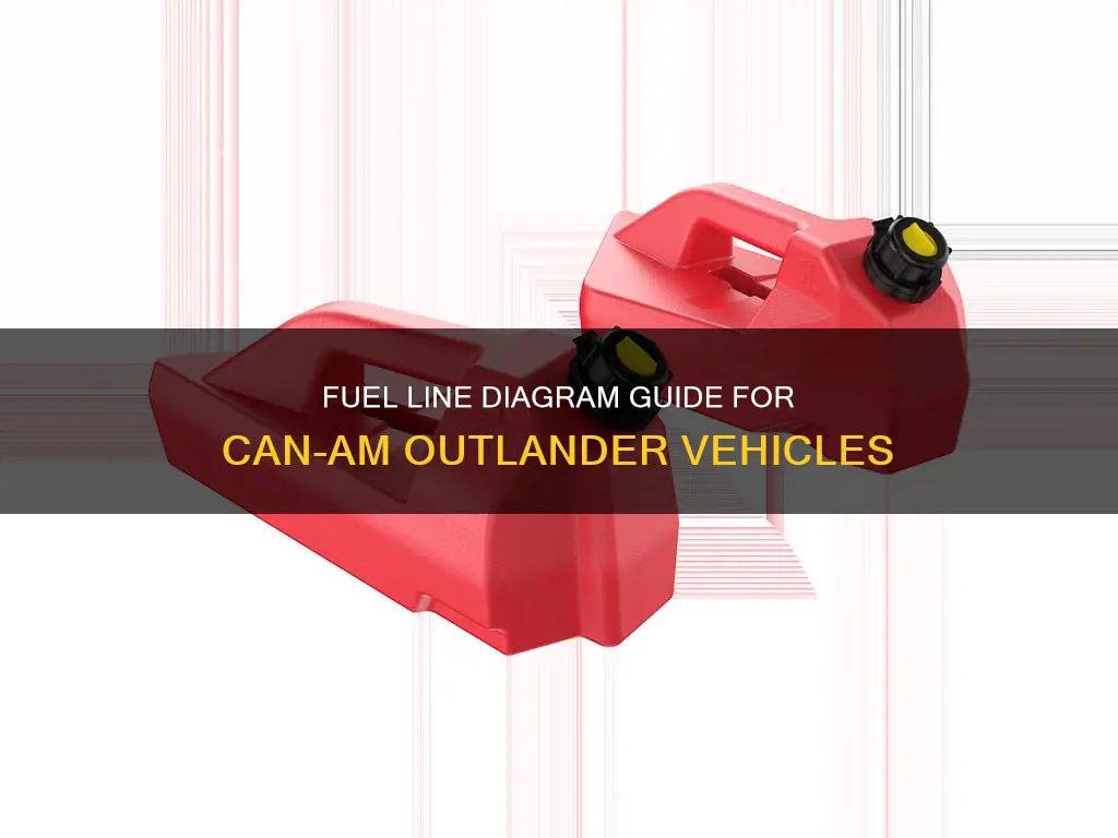 can amoutlander fuel line diagram