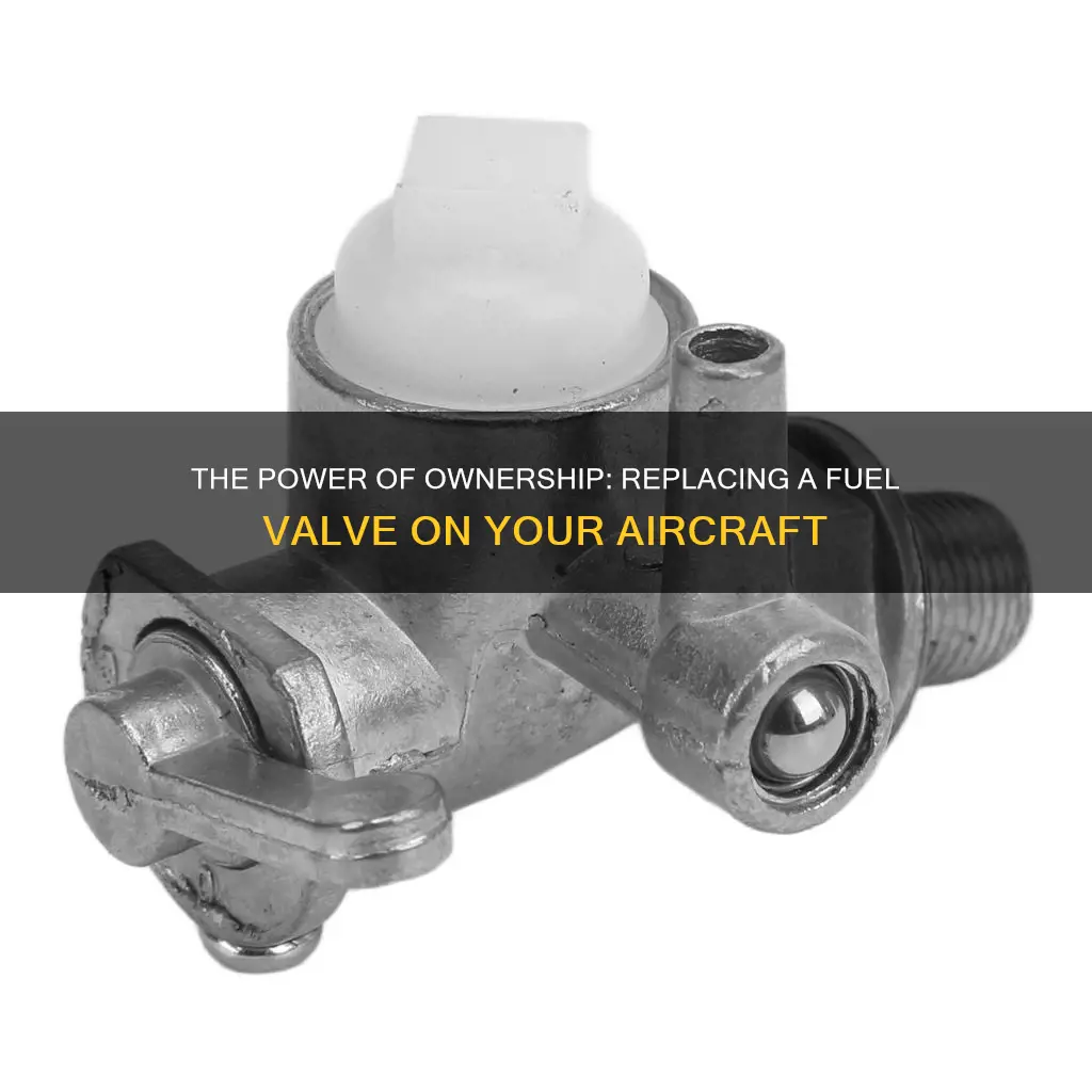 can an aircraft owner to replace a fuel valve