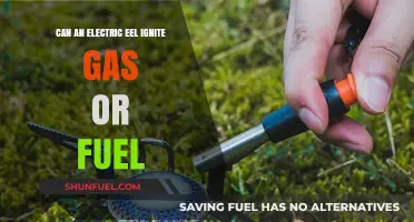 Electric Eels and Flammable Fuels: Can They Spark Ignition?