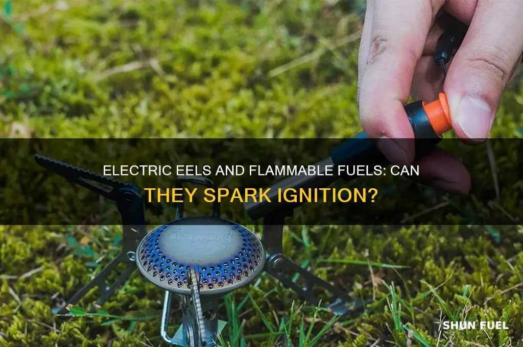 can an electric eel ignite gas or fuel