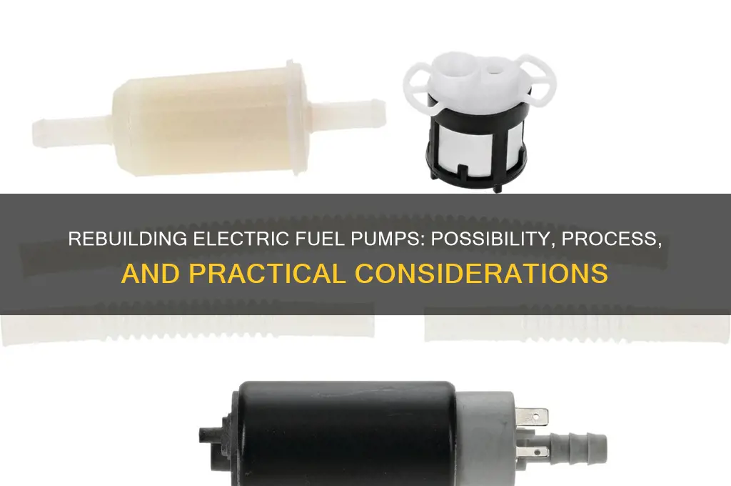 can an electric fuel pump be rebuilt