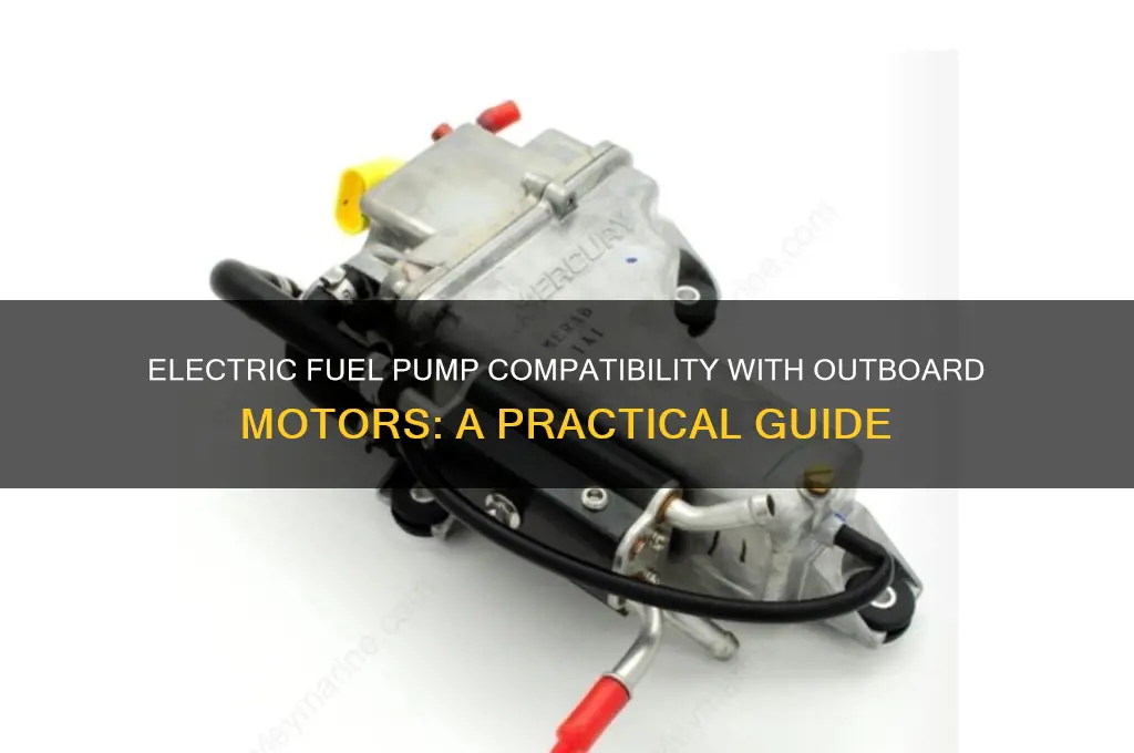 can an electric fuel pump be used on outboard motor