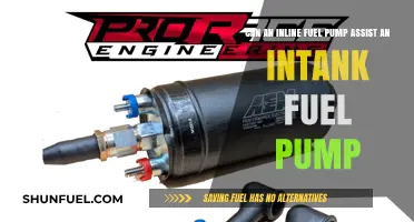 Inline Fuel Pump: Can It Assist an In-Tank Pump Effectively?