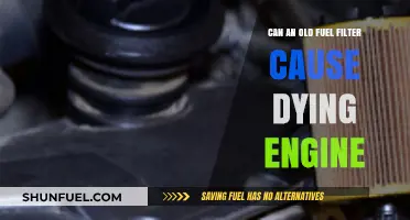 Fuel Filter: Engine Dying Mystery Solved