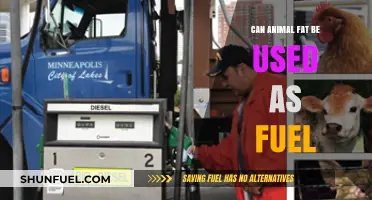 Animal Fat as Fuel: A Sustainable Energy Alternative?