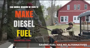 Turning Animal Waste into Diesel Fuel