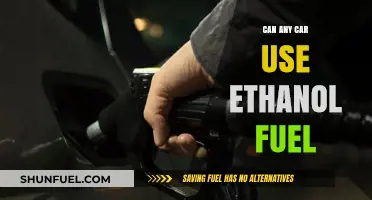 Can Any Car Run on Ethanol Fuel? Compatibility Explained