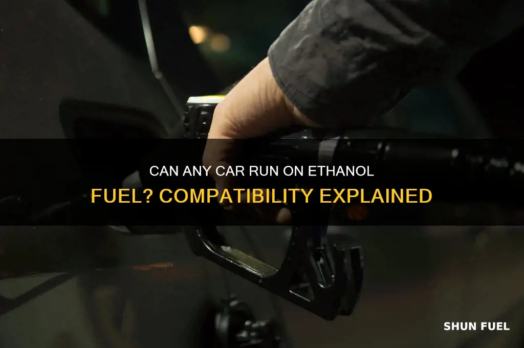 can any car use ethanol fuel