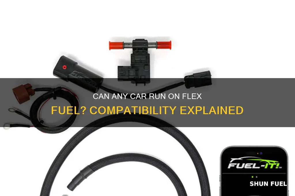 can any car use flex fuel