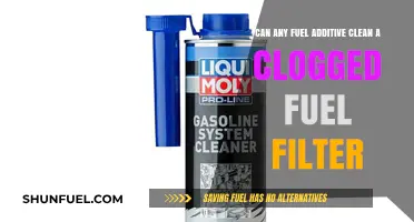 Fuel Additives: Unclogging Filters or Just a Myth?