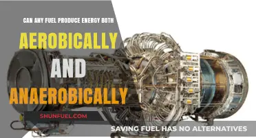 Exploring Dual Energy Production: Aerobic vs Anaerobic Fuel Combustion