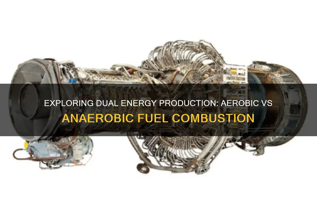 can any fuel produce energy both aerobically and anaerobically