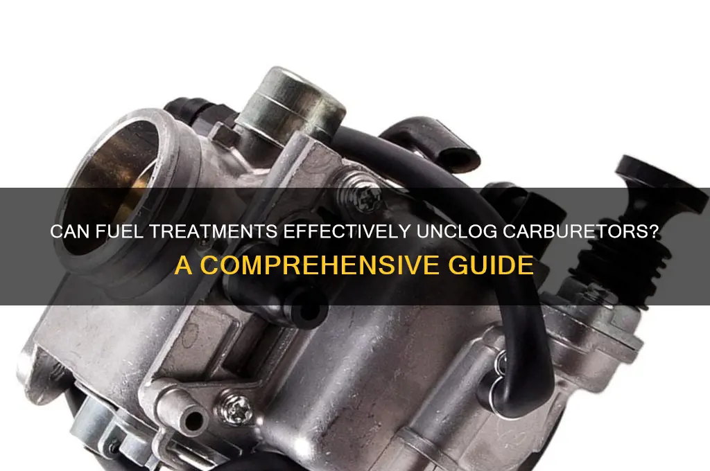 can any type of fuel treatment unclog a carburetor