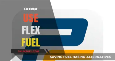 Flex Fuel for All? Understanding Compatibility and Usage Requirements